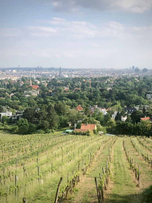 Stadtwandern Wien